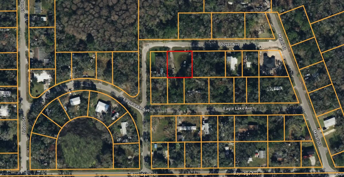 Level, Agricultural-Residential lot in New Port Richey - Image 4