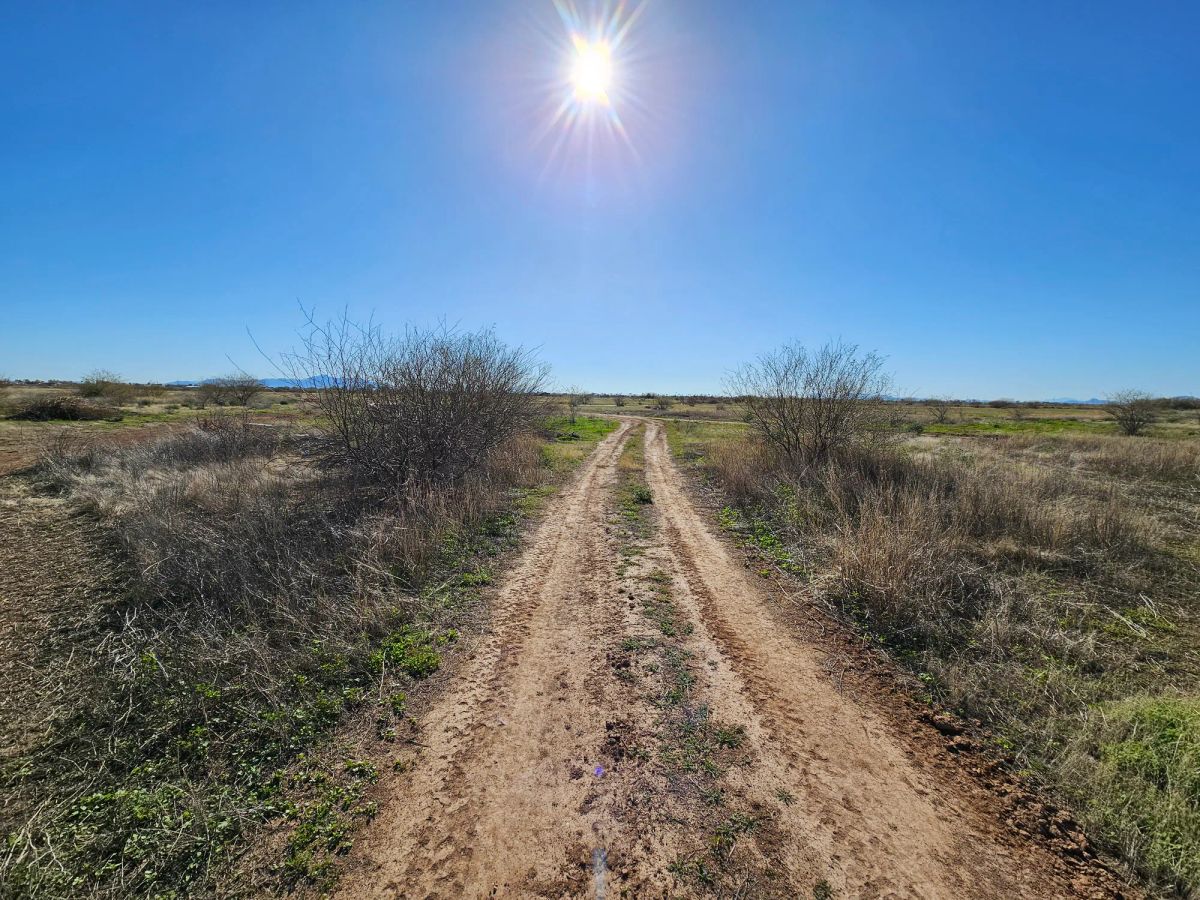 Decorative background for Level, Undeveloped Lot in Arizona City image 18