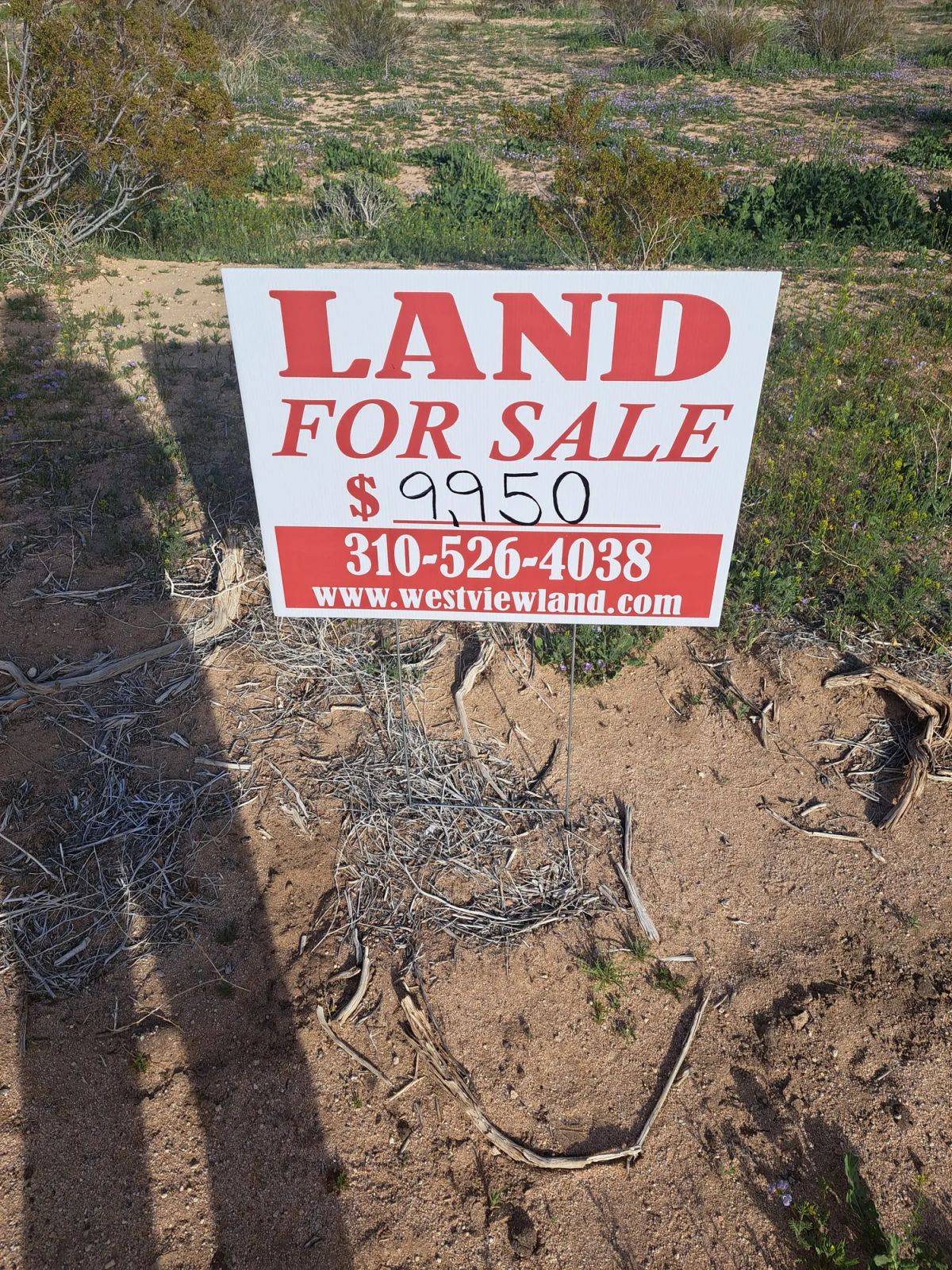 .23 Acres For Sale In California City, CA - Image 3
