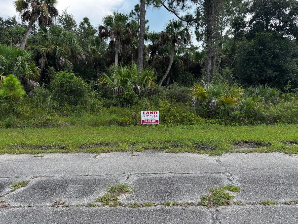 Undeveloped Single Family Residential Lot in North Port, FL - Image 2