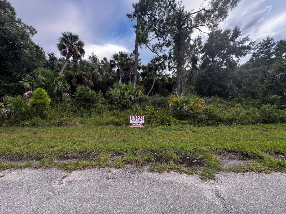 Undeveloped Single Family Residential Lot in North Port, FL - Image 4