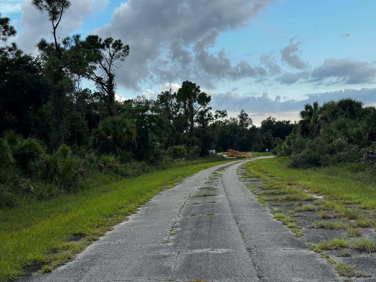 Decorative background for Undeveloped Single Family Residential Lot in North Port, FL image 5
