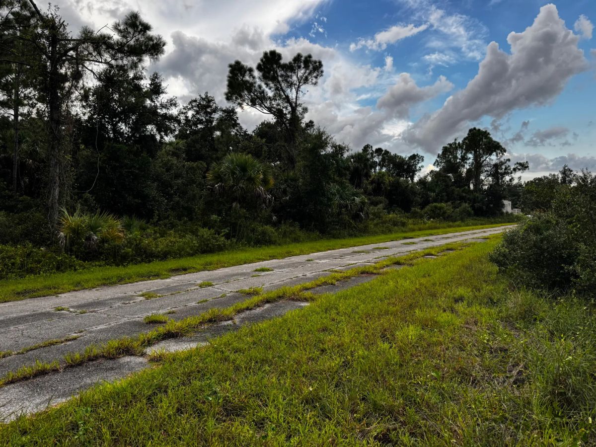 Decorative background for Undeveloped Single Family Residential Lot in North Port, FL image 6