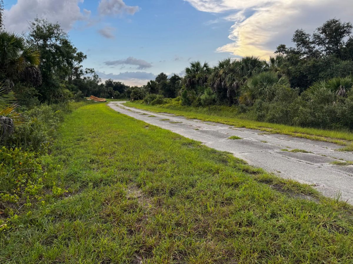 Decorative background for Undeveloped Single Family Residential Lot in North Port, FL image 8