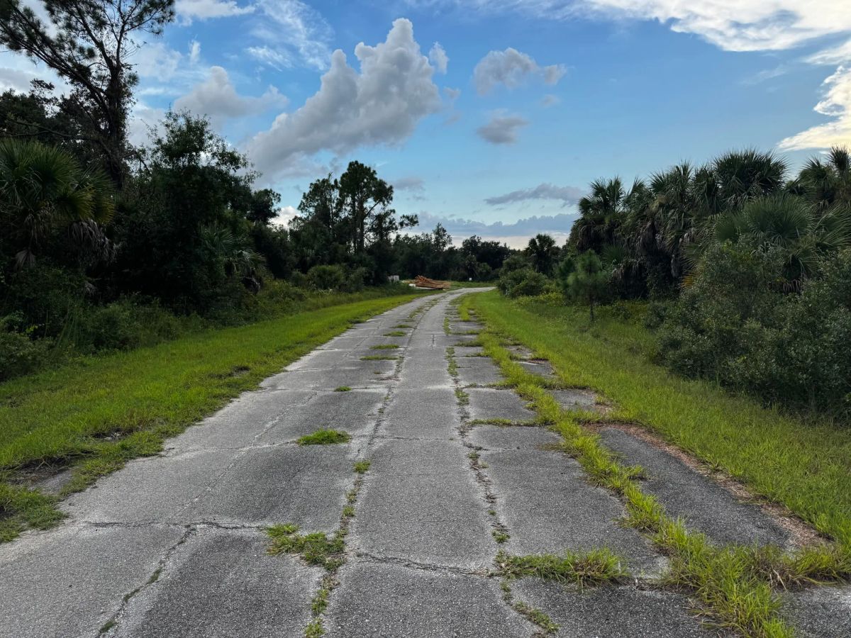 Decorative background for Undeveloped Single Family Residential Lot in North Port, FL image 9