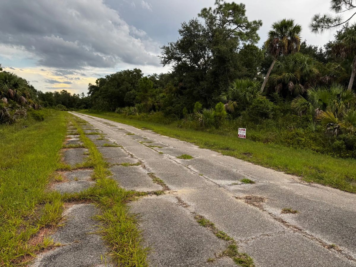 Decorative background for Undeveloped Single Family Residential Lot in North Port, FL image 10