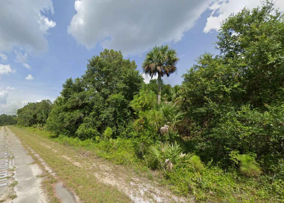 Decorative background for Undeveloped Single Family Residential Lot in North Port, FL image 11