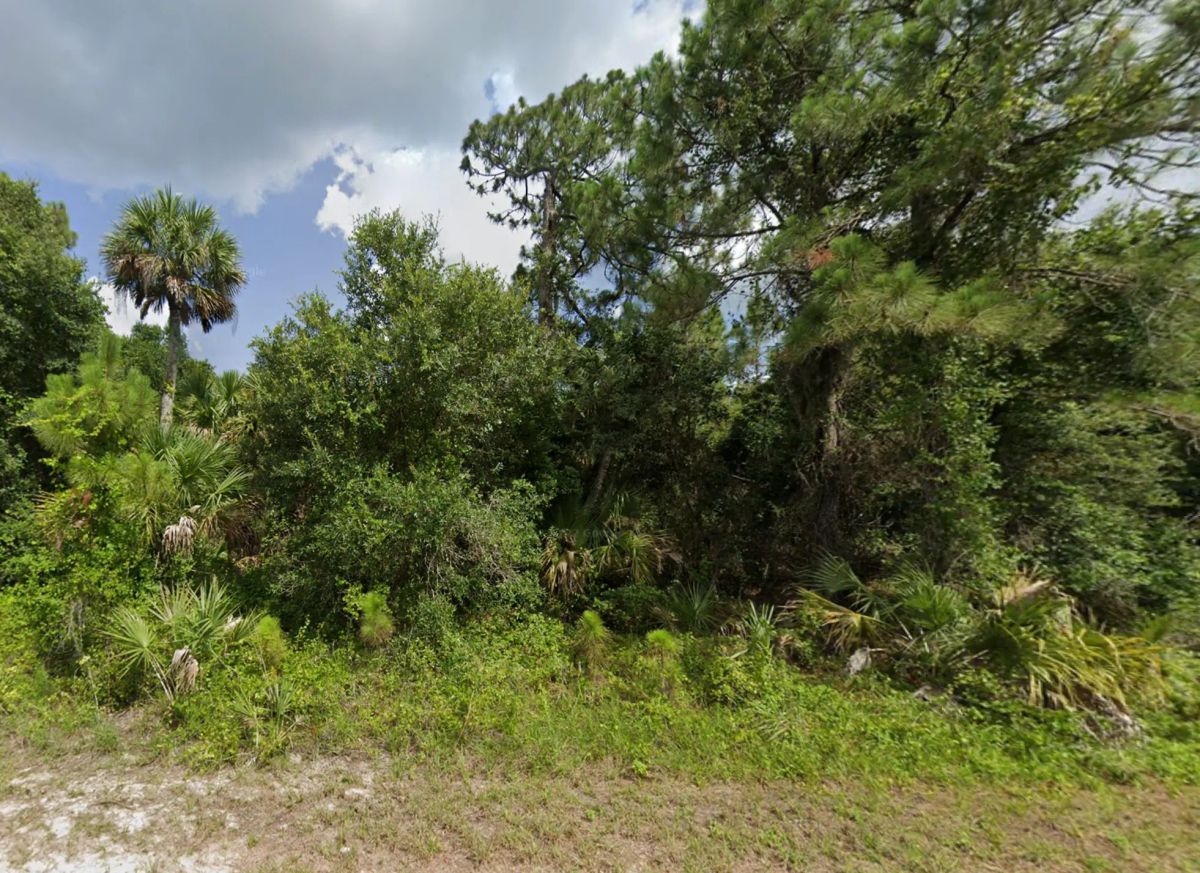 Decorative background for Undeveloped Single Family Residential Lot in North Port, FL image 12