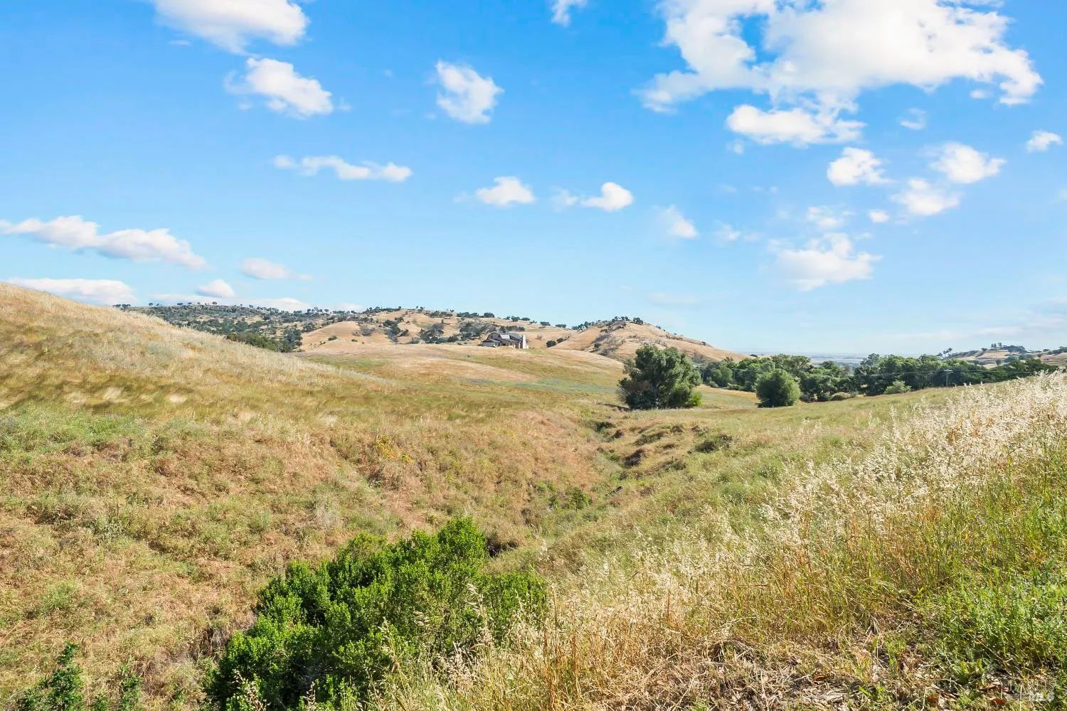 Nineteen Vacant Acres for Sale Outside Vacaville, CA in Solano County, CA