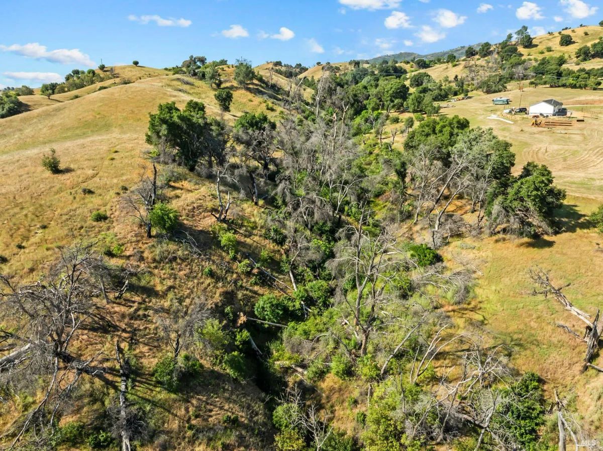 Decorative background for Nineteen Vacant Acres for Sale Outside Vacaville, CA image 8