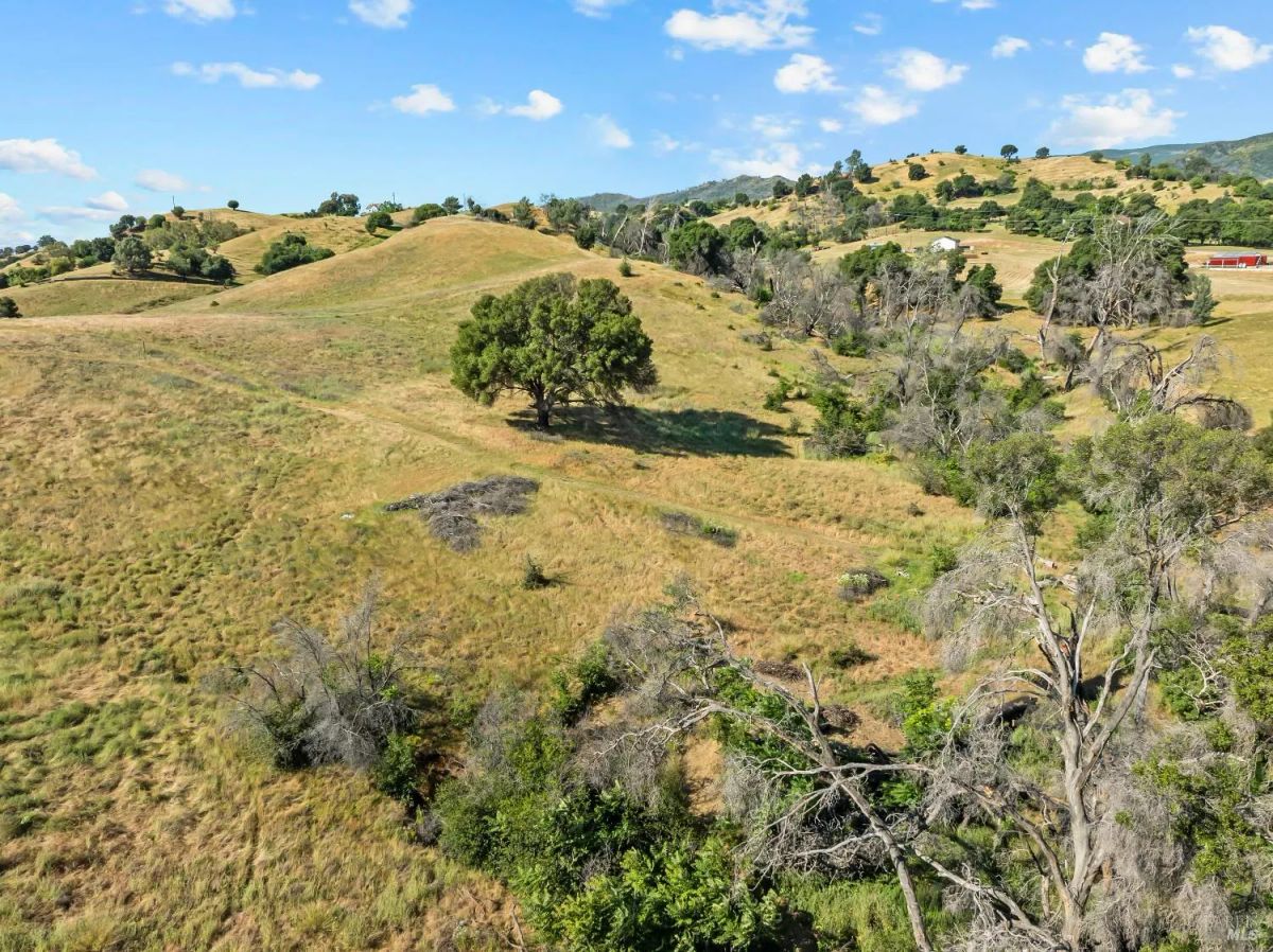 Decorative background for Nineteen Vacant Acres for Sale Outside Vacaville, CA image 19