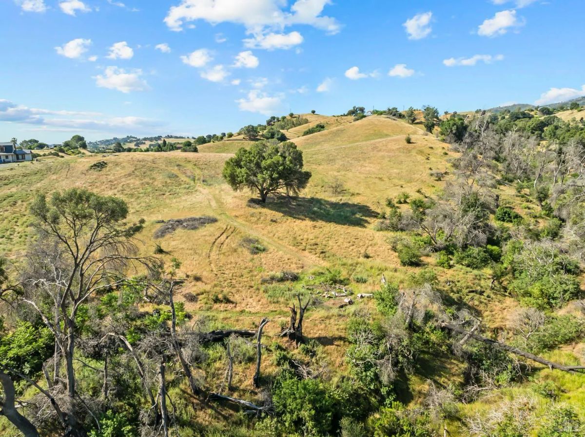 Decorative background for Nineteen Vacant Acres for Sale Outside Vacaville, CA image 21