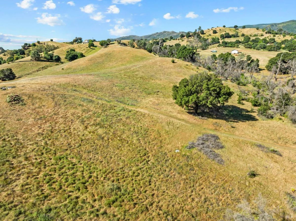 Decorative background for Nineteen Vacant Acres for Sale Outside Vacaville, CA image 28