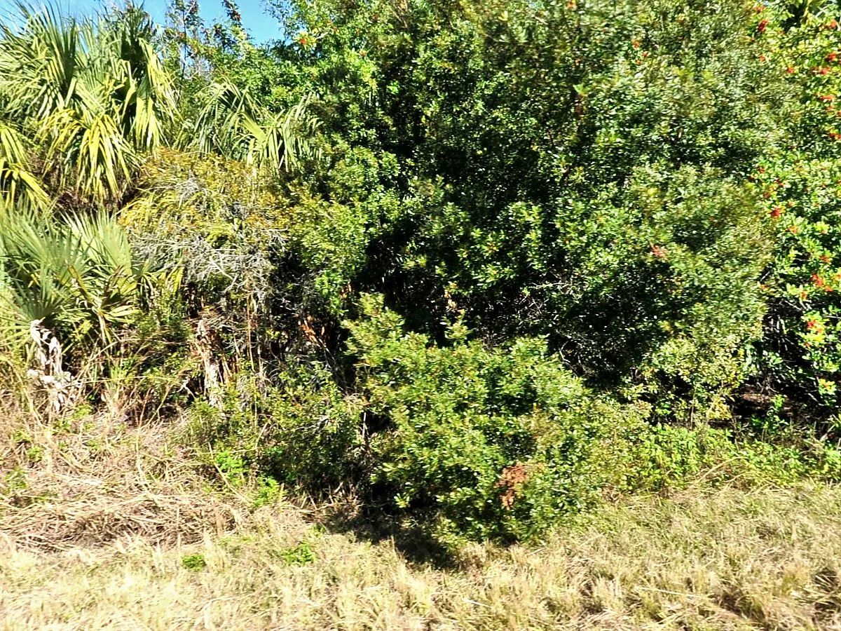 Undeveloped, Residential Lot in North Port, FL Near Cul-de-sac - Main image