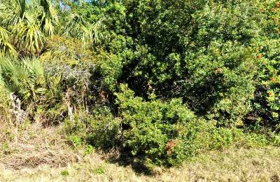 Undeveloped, Residential Lot in North Port, FL Near Cul-de-sac