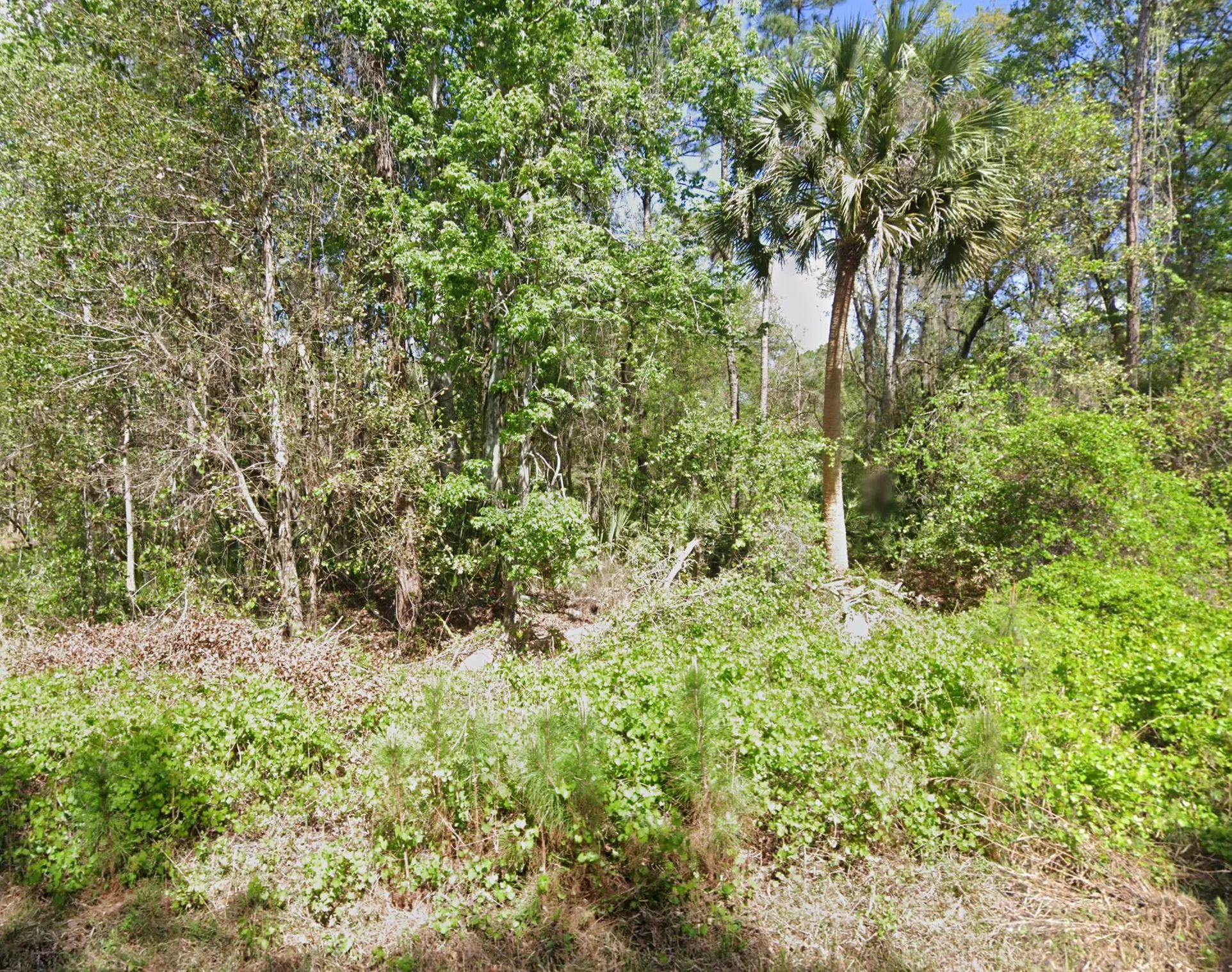 Undeveloped Residential Lot near Lake George, FL