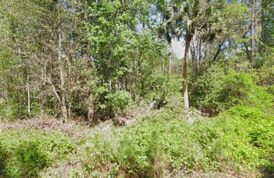 Undeveloped Residential Lot near Lake George, FL