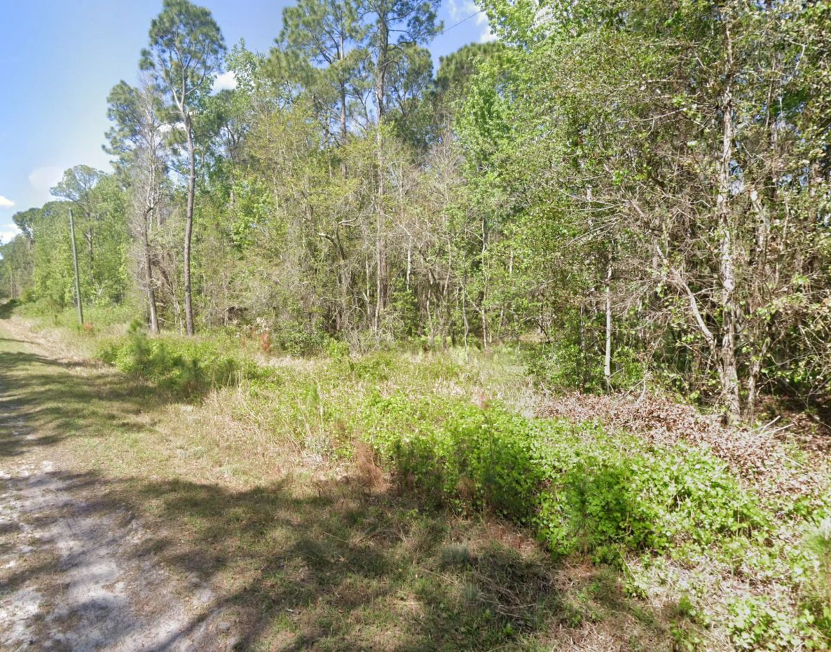 Undeveloped Residential Lot near Lake George, FL - Image 2