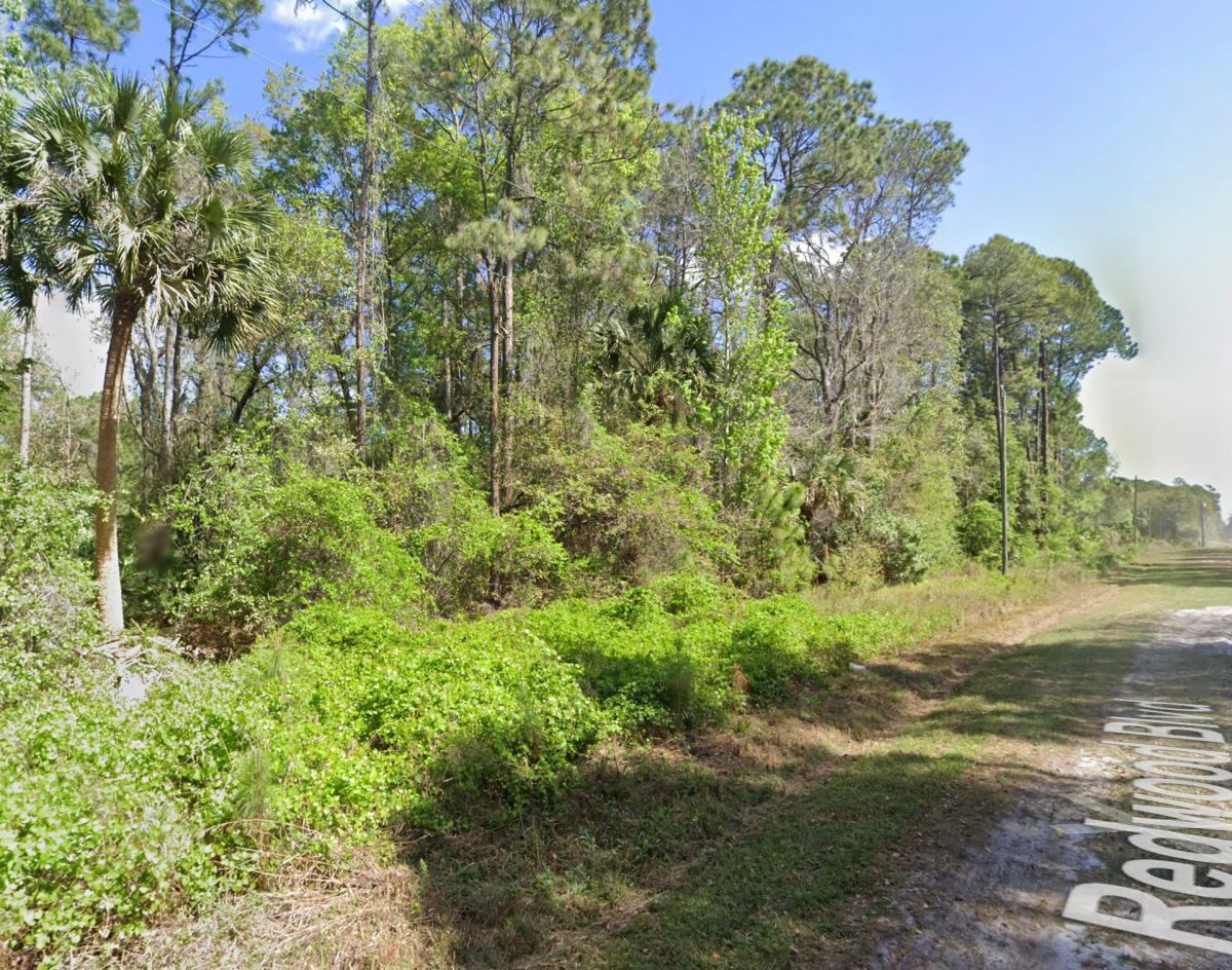 Undeveloped Residential Lot near Lake George, FL - Image 3