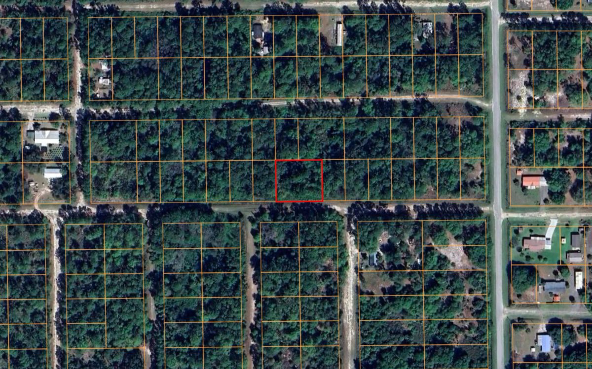 Undeveloped Residential Lot near Lake George, FL - Image 4