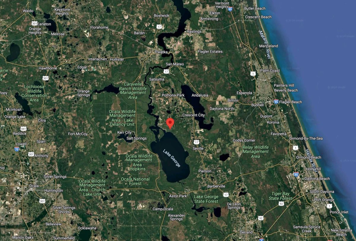 Decorative background for Undeveloped Residential Lot near Lake George, FL image 5