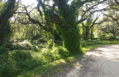 Vacant Residential Lot in Dade City, FL