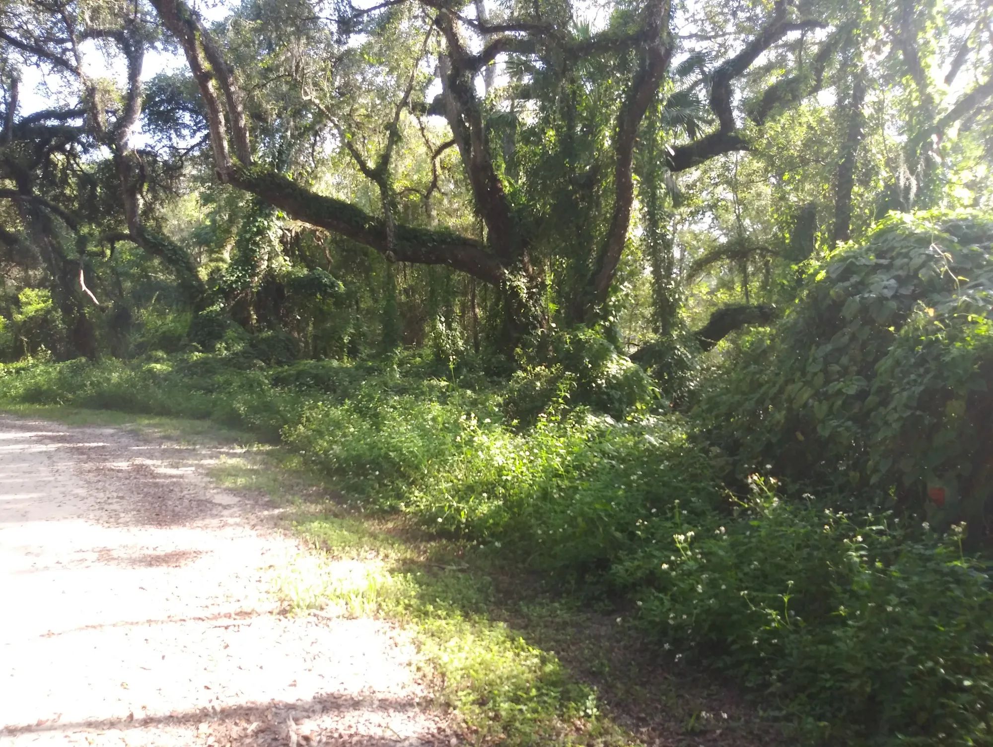 Vacant Residential Lot in Dade City, FL in Hernando County, FL