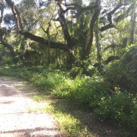 Vacant Residential Lot in Dade City, FL in Hernando County, FL