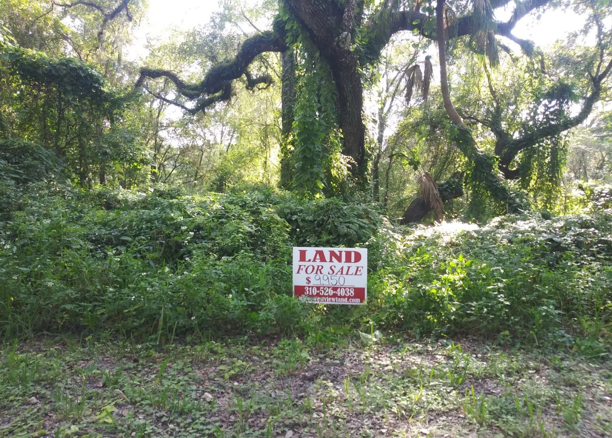 Vacant Residential Lot in Dade City, FL - Image 4