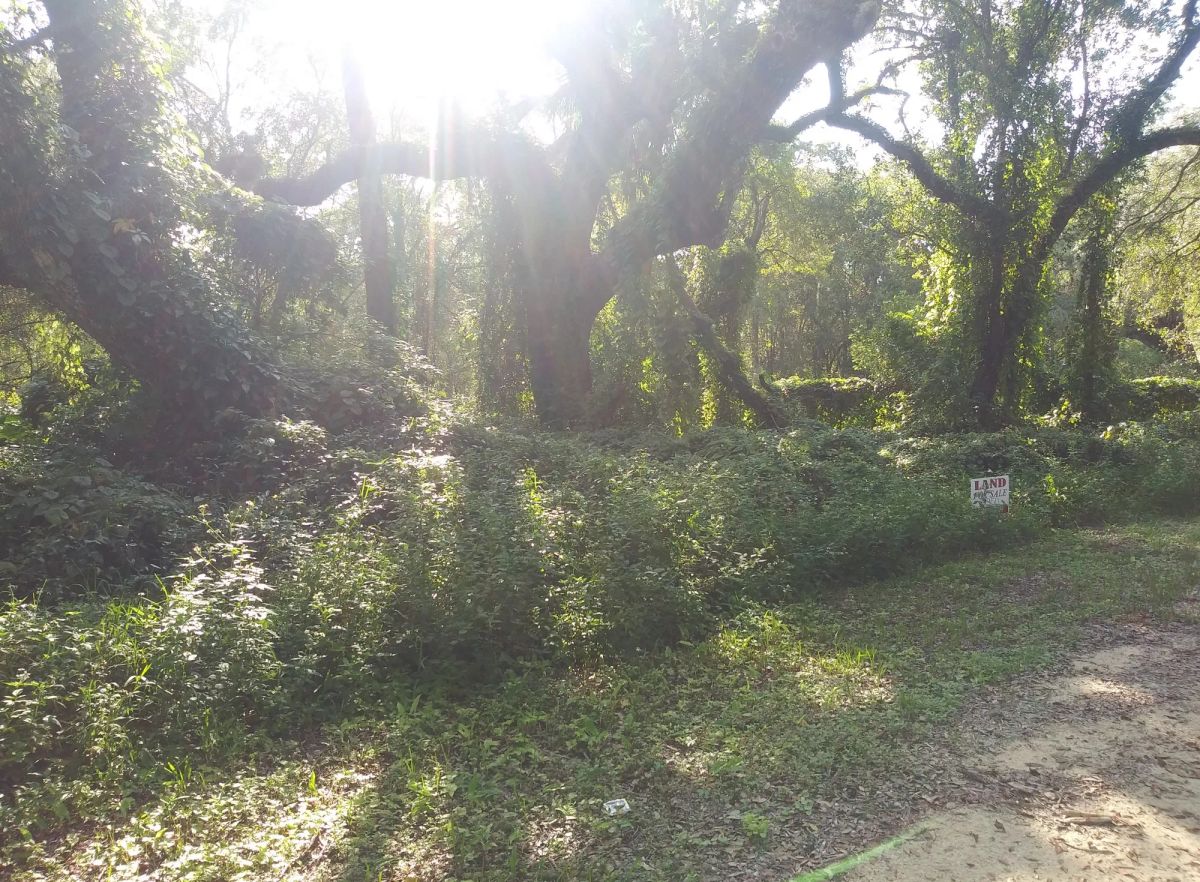 Decorative background for Vacant Residential Lot in Dade City, FL image 5