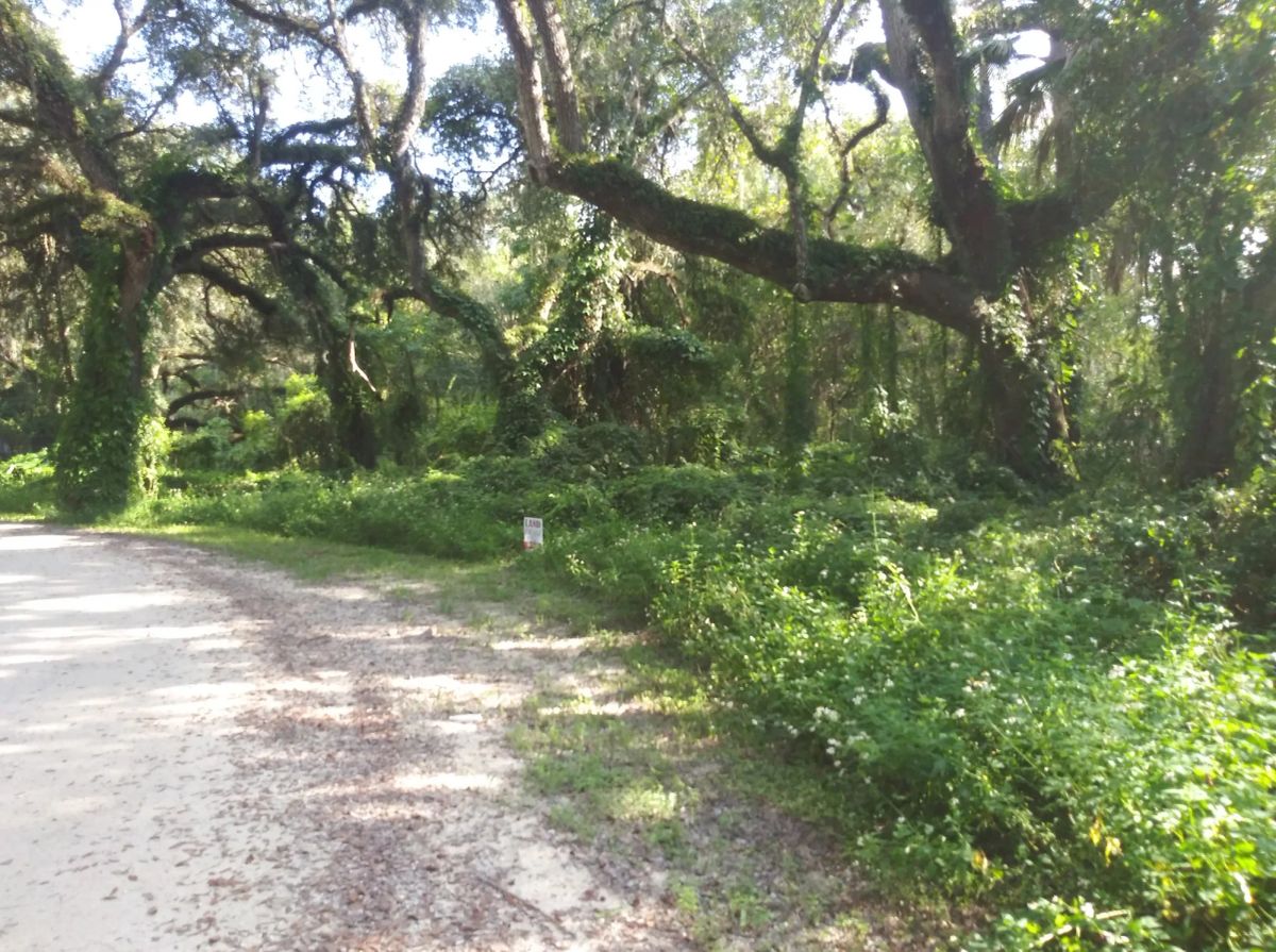 Decorative background for Vacant Residential Lot in Dade City, FL image 6