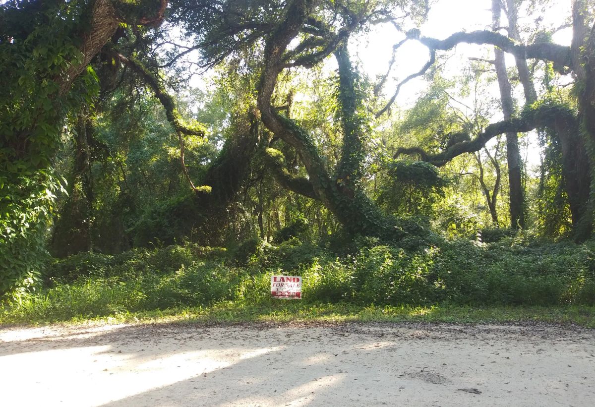 Decorative background for Vacant Residential Lot in Dade City, FL image 8