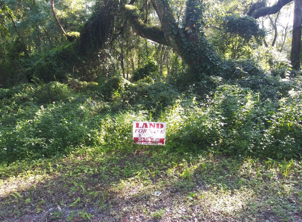 Decorative background for Vacant Residential Lot in Dade City, FL image 9