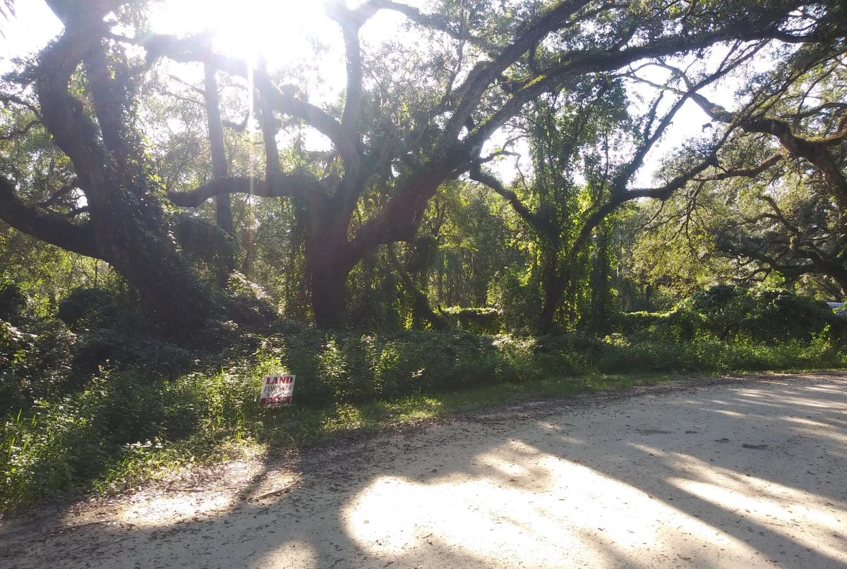 Decorative background for Vacant Residential Lot in Dade City, FL image 10