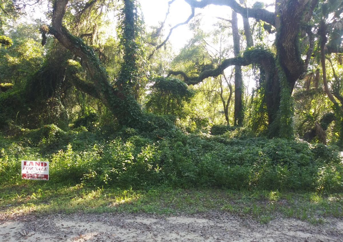 Decorative background for Vacant Residential Lot in Dade City, FL image 12