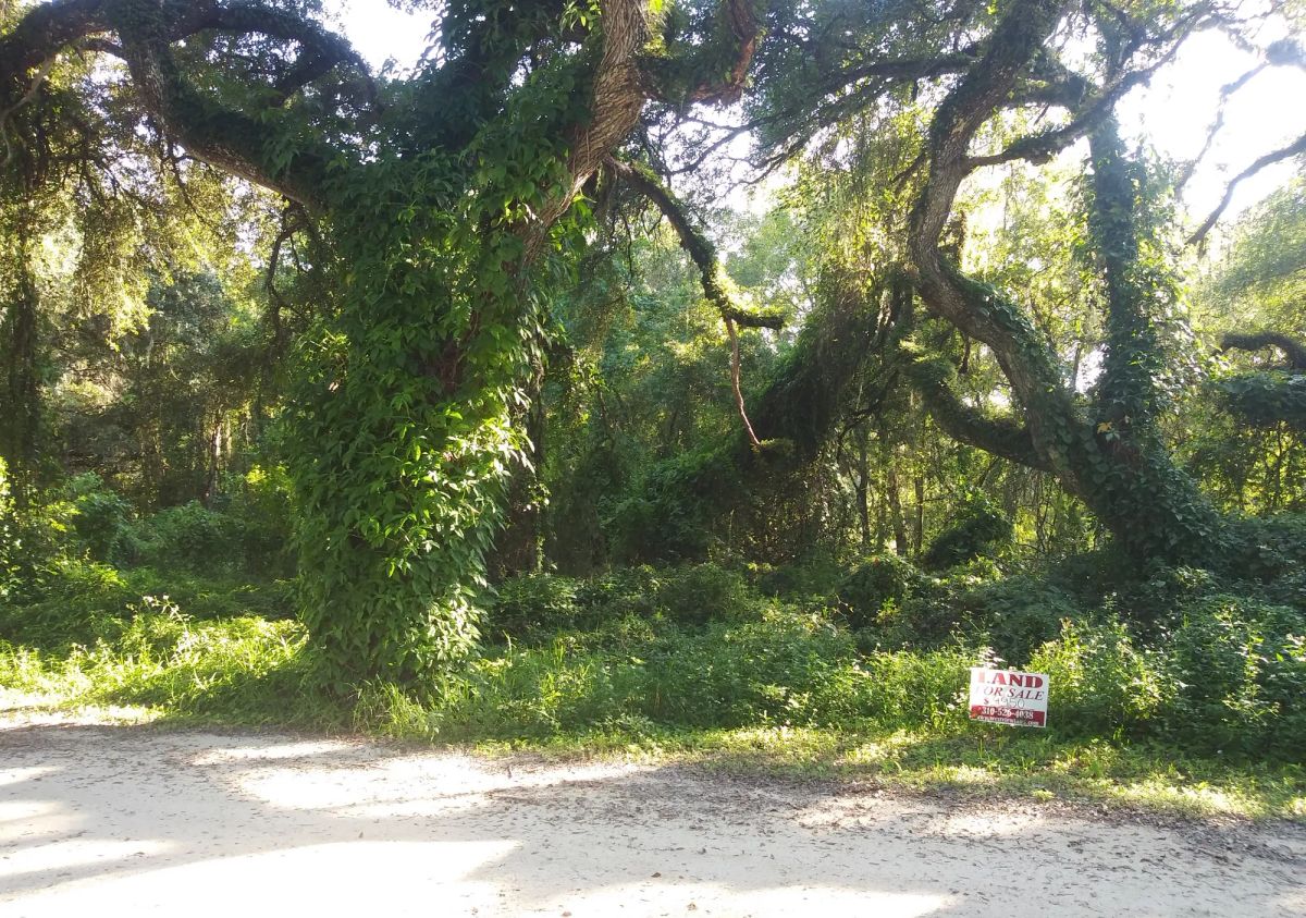 Decorative background for Vacant Residential Lot in Dade City, FL image 13