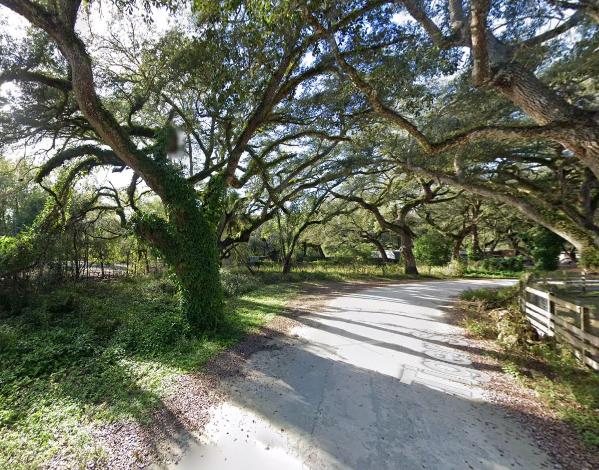 Decorative background for Vacant Residential Lot in Dade City, FL image 14