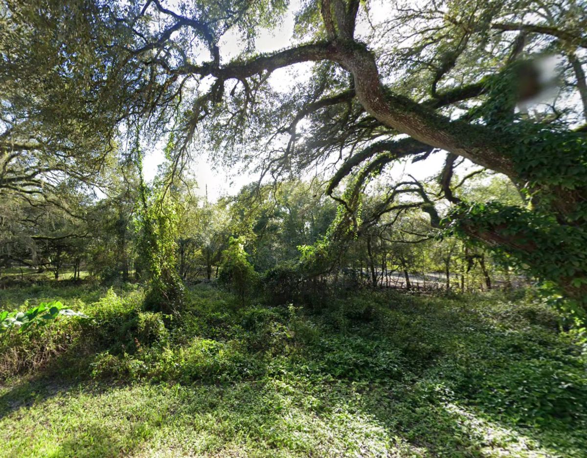 Decorative background for Vacant Residential Lot in Dade City, FL image 15
