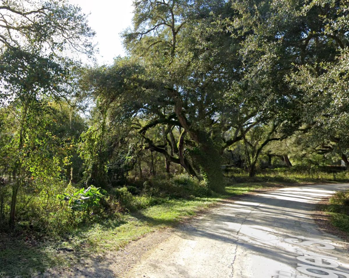 Decorative background for Vacant Residential Lot in Dade City, FL image 16