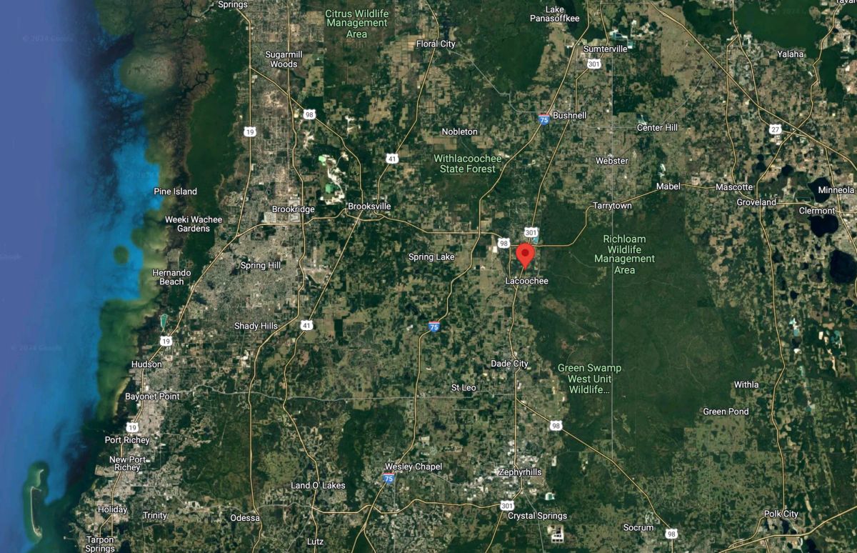 Decorative background for Vacant Residential Lot in Dade City, FL image 17
