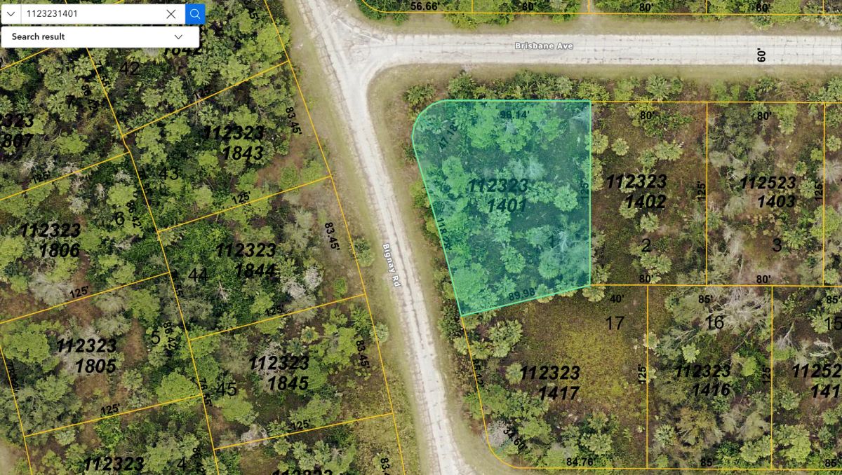 Decorative background for Undeveloped, Residential Corner Lot in North Port, FL image 6