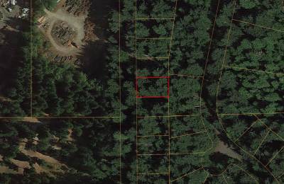 .19 Acres of Residentially Zoned Land For Sale In Anderson Island, WA