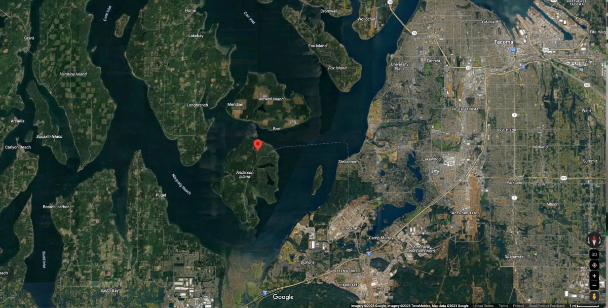 Decorative background for .19 Acres of Residentially Zoned Land For Sale In Anderson Island, WA image 5
