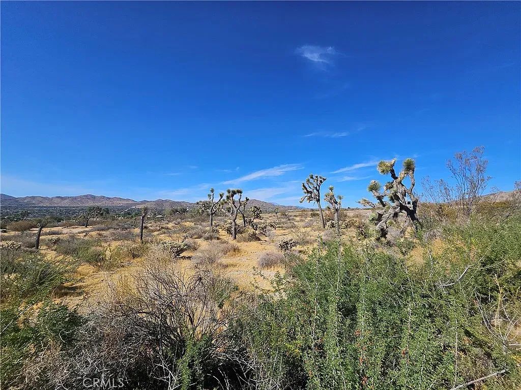 1.9 Acres of Vacant Land in Yucca Valley with Adjoining Property Available - Main image