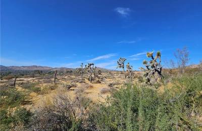 1.9 Acres of Vacant Land in Yucca Valley with Adjoining Property Available