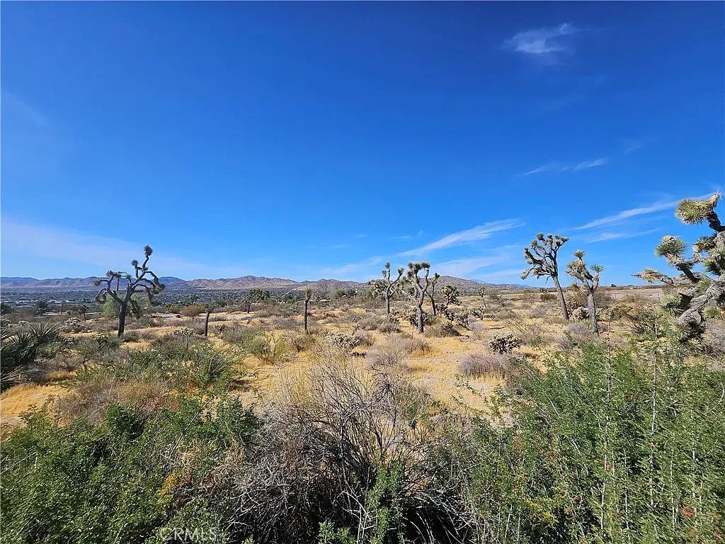 1.9 Acres of Vacant Land in Yucca Valley with Adjoining Property Available - Image 4