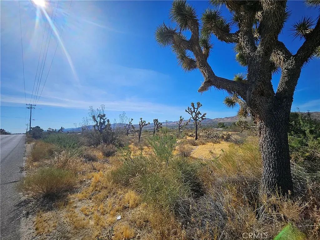 Decorative background for 1.9 Acres of Vacant Land in Yucca Valley with Adjoining Property Available image 8