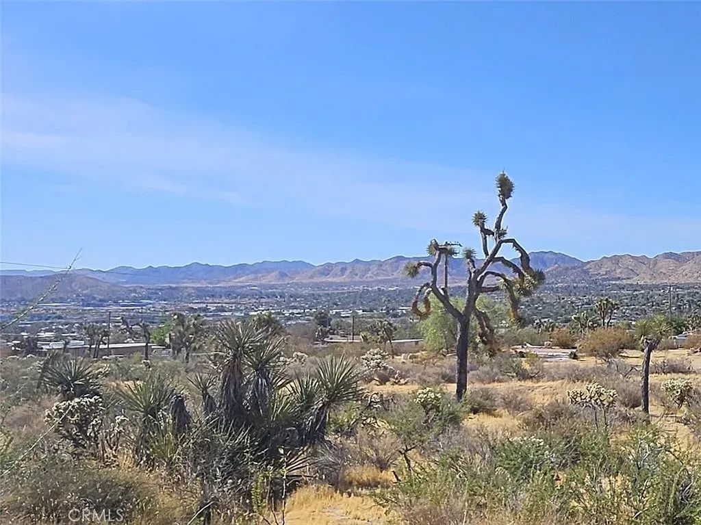 Decorative background for 1.9 Acres of Vacant Land in Yucca Valley with Adjoining Property Available image 10