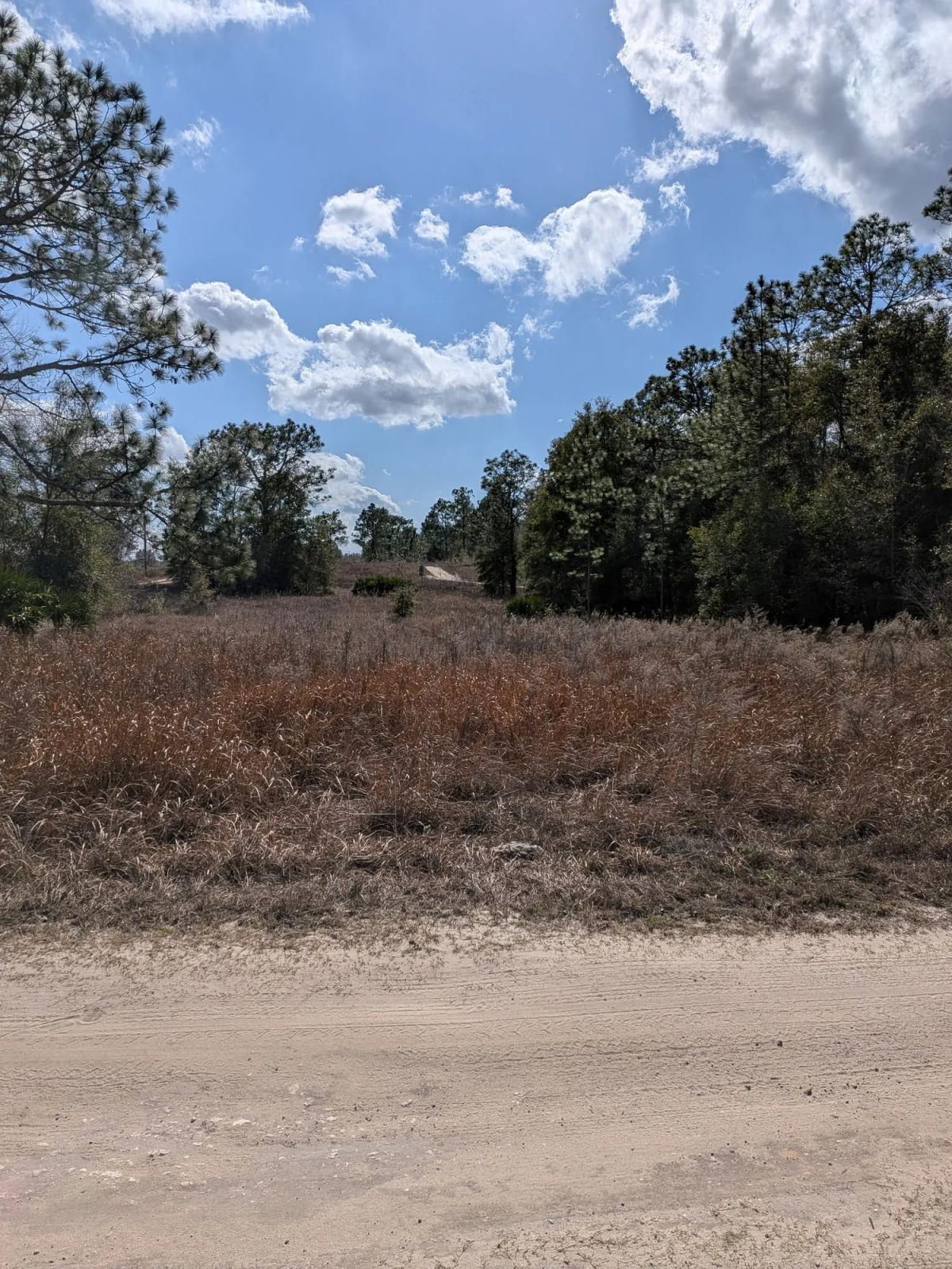 Vacant Corner Residential Lot in Ocala, FL with Adjoining Lot - Main image