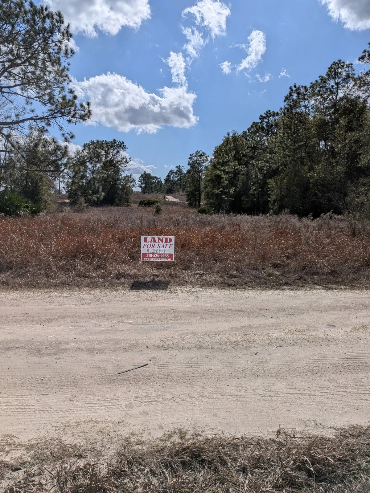 Vacant Corner Residential Lot in Ocala, FL with Adjoining Lot - Image 2